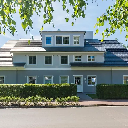 Hmuschelsucher, Birkenstrasse 7a, App 1 *